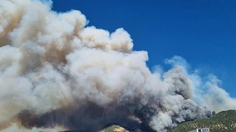 France Canyon Fire 6.20.25