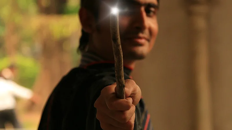 Harry Potter fans imitates Harry, Lumos Maxima