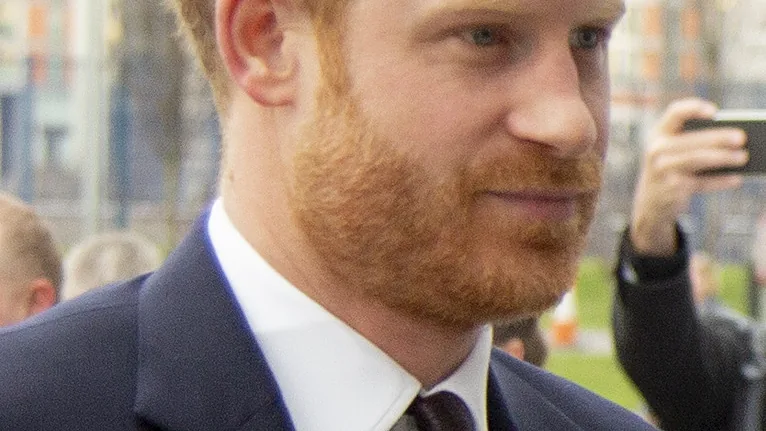 Prince Harry, Duke of Sussex 2020 cropped 02