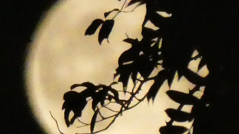 Full Moon - August 2022 - Sturgeon Moon