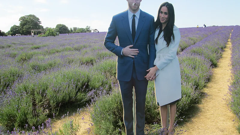 Cutout of Prince Harry and Meghan Markle - geograph.org.uk - 5844109