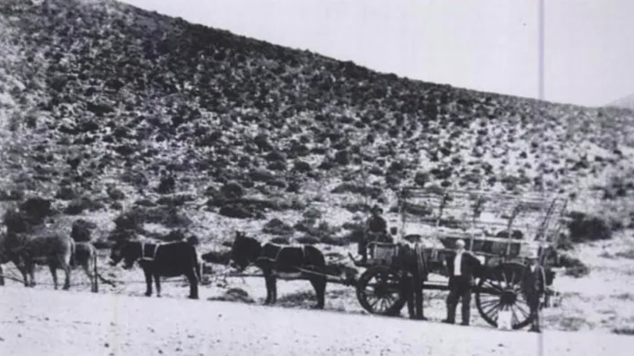 Hans Herre collecting in the Richtersvelt (South Africa)