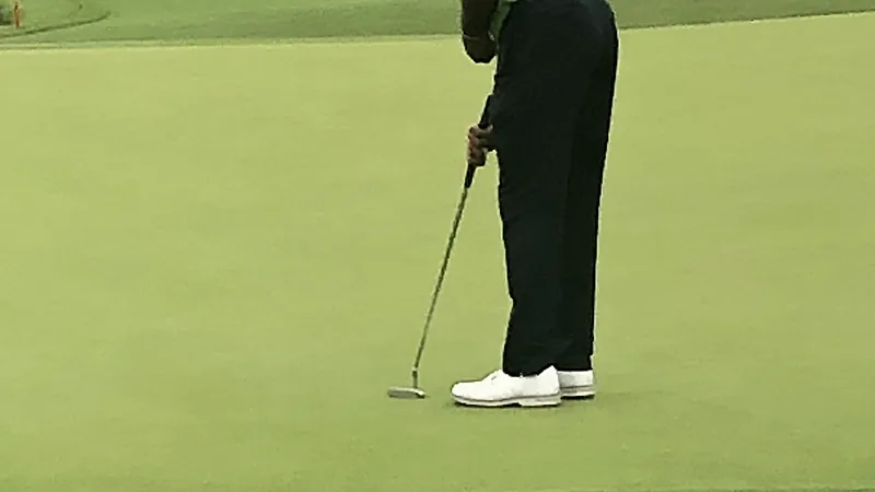 Tiger Woods Golfing (2022)